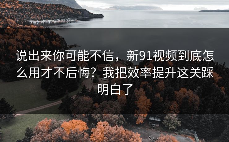 说出来你可能不信，新91视频到底怎么用才不后悔？我把效率提升这关踩明白了